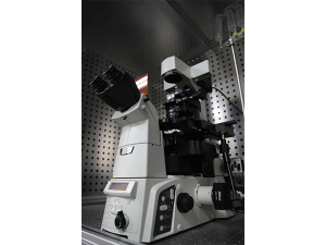 TIRF (Total Internal Reflection Fluorescence Microscope)(전내반사형광현미경)