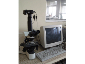 Microscope image analyze system (Olympus, BX-51)